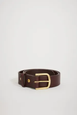 Classic Belt Brown