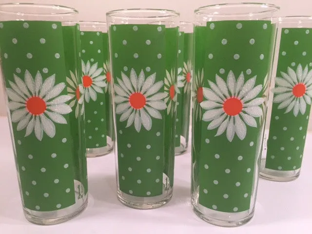 Pasinski Mid-Century Signed Daisy Collins Glasses (Set of 6)